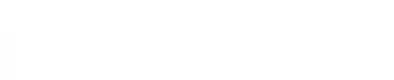 logo ingoo white